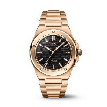 Ingenieur
